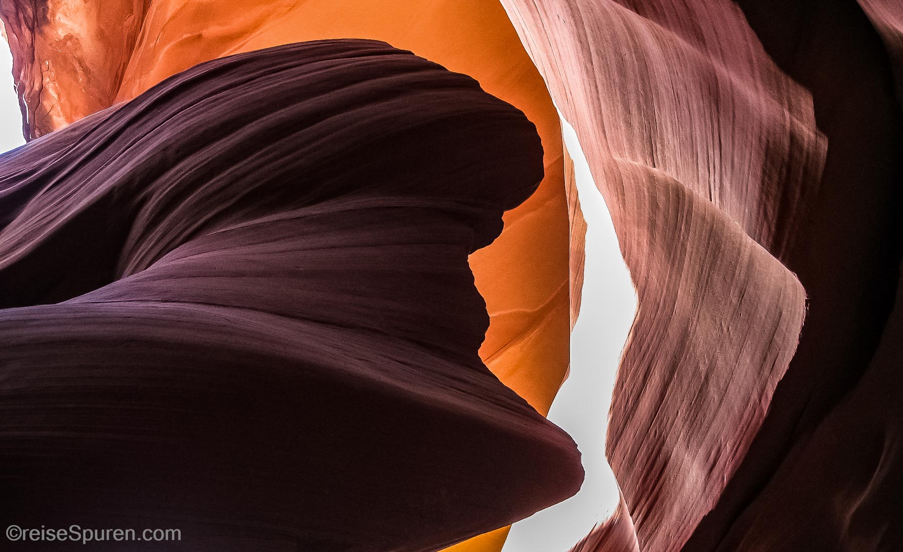 Arizona
