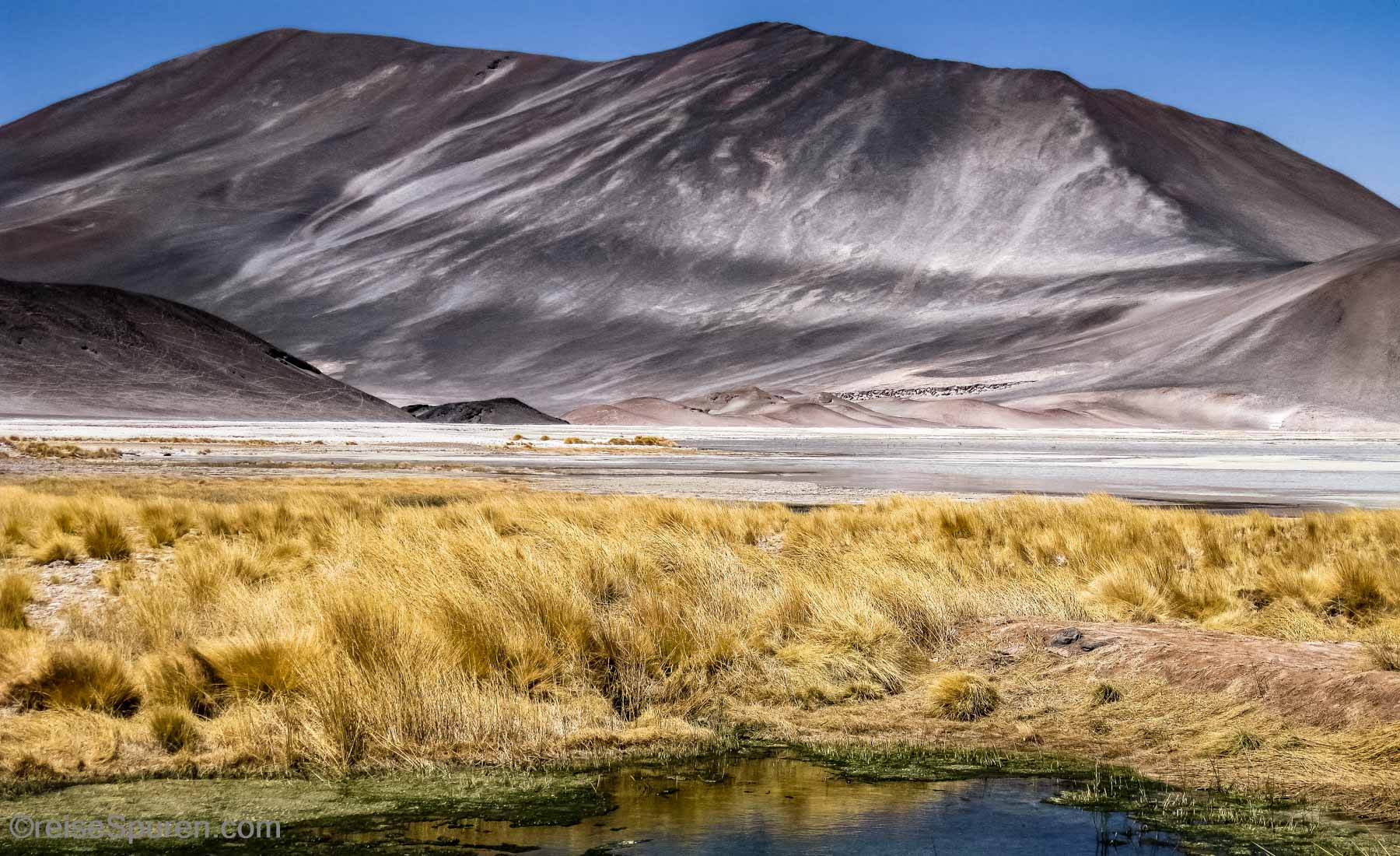 Salar de Talar