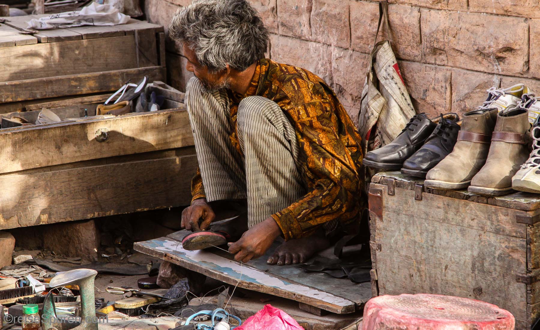 Schuster